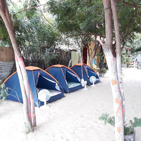 ז'יז'וקה דה ז'ריקואקוארה Camping & Hostel To A Toa מראה חיצוני תמונה