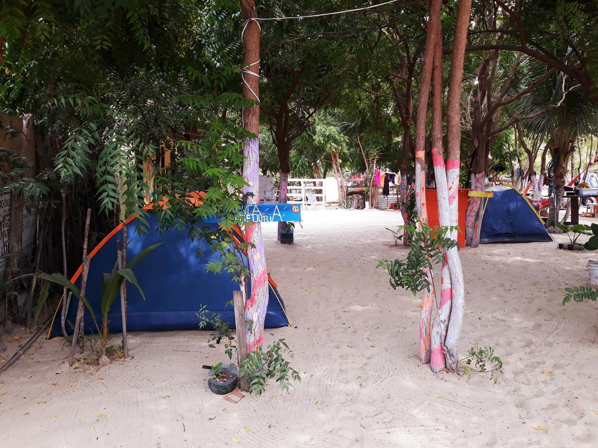 ז'יז'וקה דה ז'ריקואקוארה Camping & Hostel To A Toa מראה חיצוני תמונה